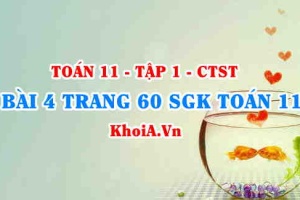 Bài 4 trang 60 SGK Toán 11 Tập 1 Chân trời sáng tạo